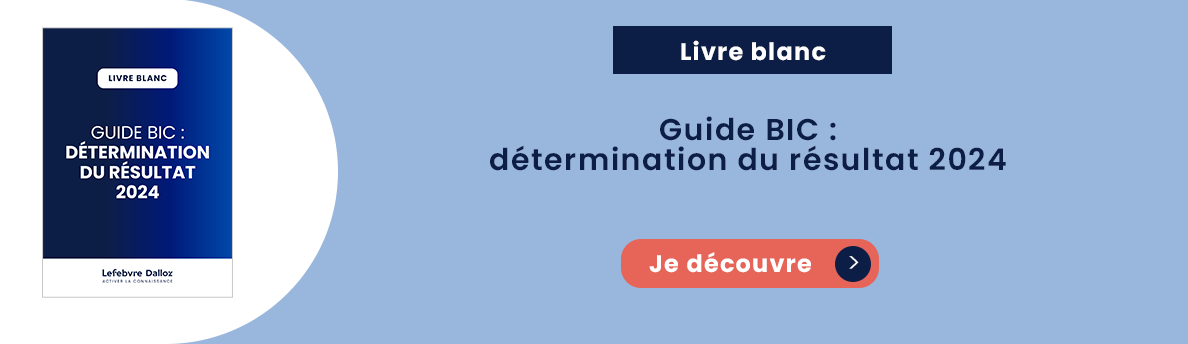 Guide BIC : détermination du résultat 2024